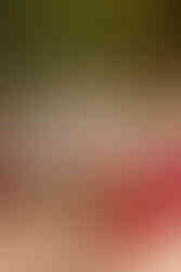 cérémonie laïque mariage domaine de la Téoulière