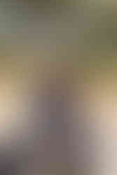 couple qui s'embrassent et leur chien qui souri