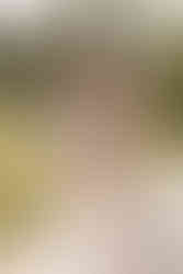 chateau-chic-pacs-toulouse