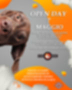 Open Day 7 Maggio 2023