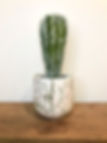 Planter/pot