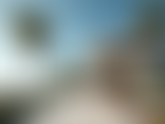 Explore Clearwater Homes for Sale: Discover Your Dream Home in Florida