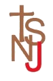 Logo officiel TSNJ.gif
