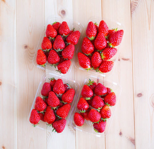いちご4パック箱入り | 元気もりもり農園