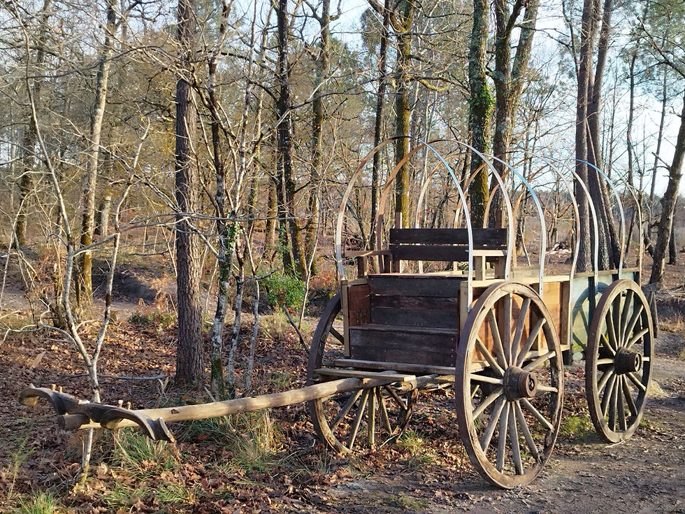 Inauguration des décors
