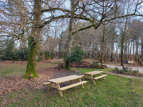 Aire de pique-nique