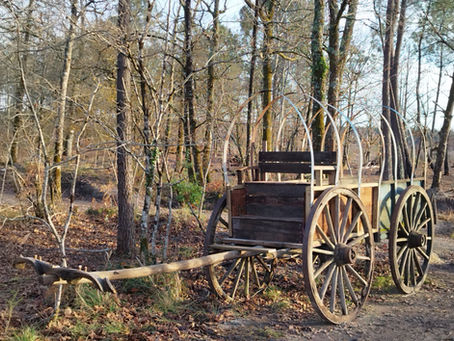 Avancement du chantier chariot