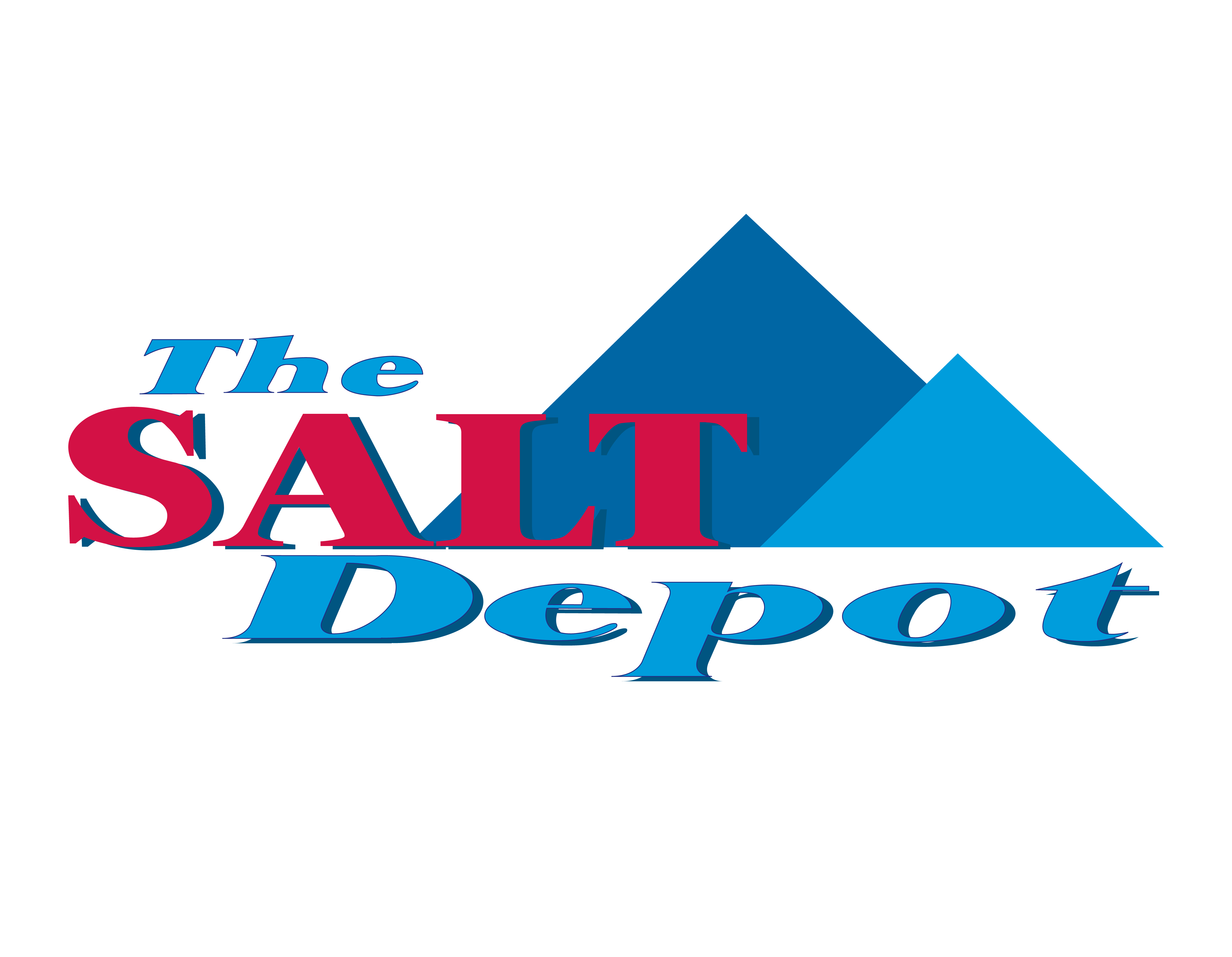 THE SALT DEPOT LOGO