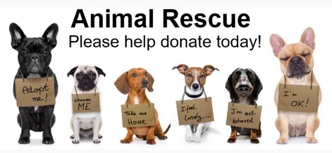 Screenshot 2026-04-01 151337.png