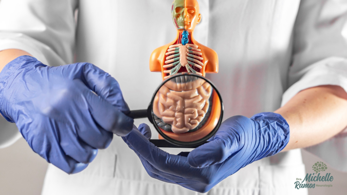 Bacteria no intestino relacionada ao Parkinson