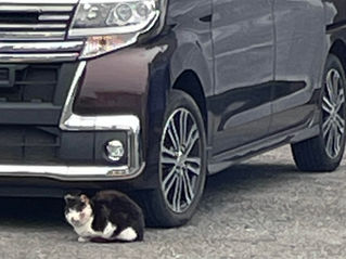 入社なら大歓迎です！