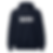 Thumbnail: 1NATION UNDER GOD Hoodie (White)