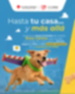 Ruta Canina_Carrusel 01.jpg