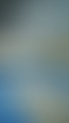 Power & Präzision: DWWV-Kader-Athleten überzeugen beim Athletik-Wochenende in Frankfurt