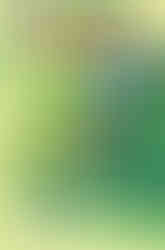 Cover of Sonic the Hedgehog #71 (Nathalie Fourdraine variant) has Surge crouching with her back turned to the reader. She's next to a motorbike with a spray paint can in her hand and is looking over her shoulder. Kit is sitting on the motorbike with a tired look on his face.