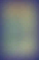 Cover of Sonic The Hedgehog Volume 21 has Sonic and Shadow evading a giant robot in a jungle. Meanwhile Charmy Bee, Espio, and Vector are trying to attack it from behind. A silhouette of Rouge is upside down on the right side of the cover.