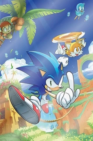 Cover of Sonic The Hedgehog #1 (Tyson Hesse A Foil variant) features Sonic jumping in the air with a hand extended forwards holding up one finger. Tails flies just overhead. Both of them seem to be in good spirits with birds flying by on a sunny day. The background has grassy cliffsides and a loop like a classic Sonic level. There's a Badnik monkey in a nearby tree who seems angry and is holding a coconut in his hand while looking at Sonic. The page has light reflecting off of it from the foil and all the branding has been removed so it's just the art.