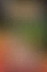 Cover of Sonic The Hedgehog #18 (Nathalie Fourdraine variant) is split into two. The upper half is a green room with Gemerl looking at Sonic while Sonic stands in a doorway with a casual look on his face. The bottom half is Vanilla, Cream, Cheese, and Chocola all looking into the distance with complete fear on their faces. Chocola is burying his head into Cheese while crying.