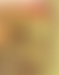 The cover features a big closeup of Shrek the ogre's face. He's smiling while looking at the reader. On the right side is a column of character portraits and above each character is descriptions of different parts of the guide.