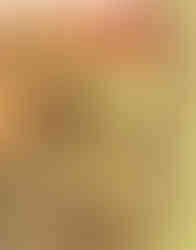 The cover features a big closeup of Shrek the ogre's face. He's smiling while looking at the reader. On the right side is a column of character portraits and above each character is descriptions of different parts of the guide.