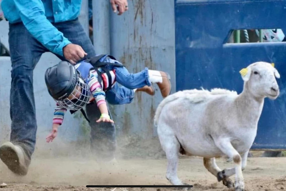 Mutton Busting at Kuna Stampede Rodeo 2024