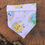 Thumbnail: Spring Pokemon Dog Bandana