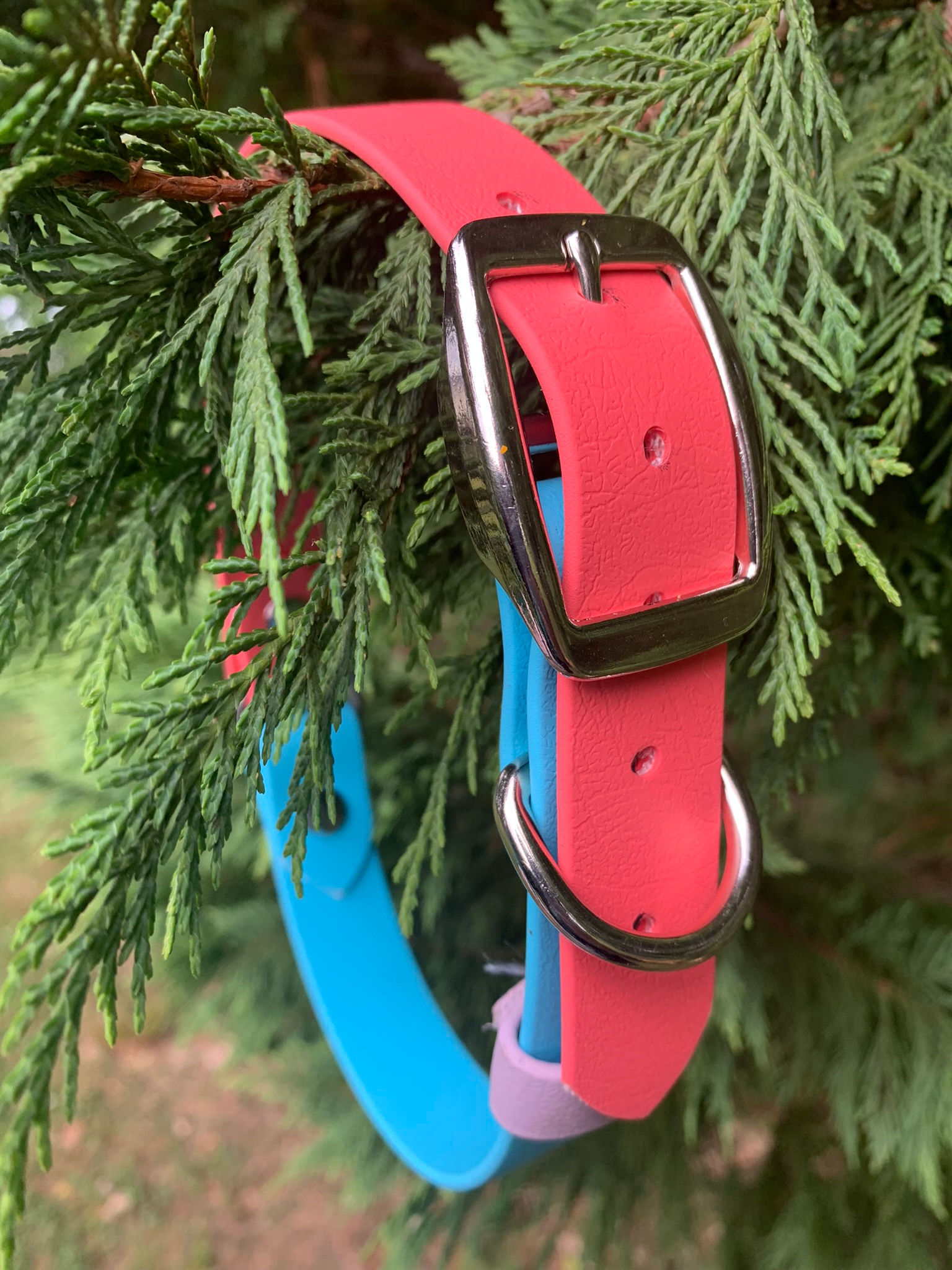 Extra Large Coral & Bright Blue Watermelon Collar