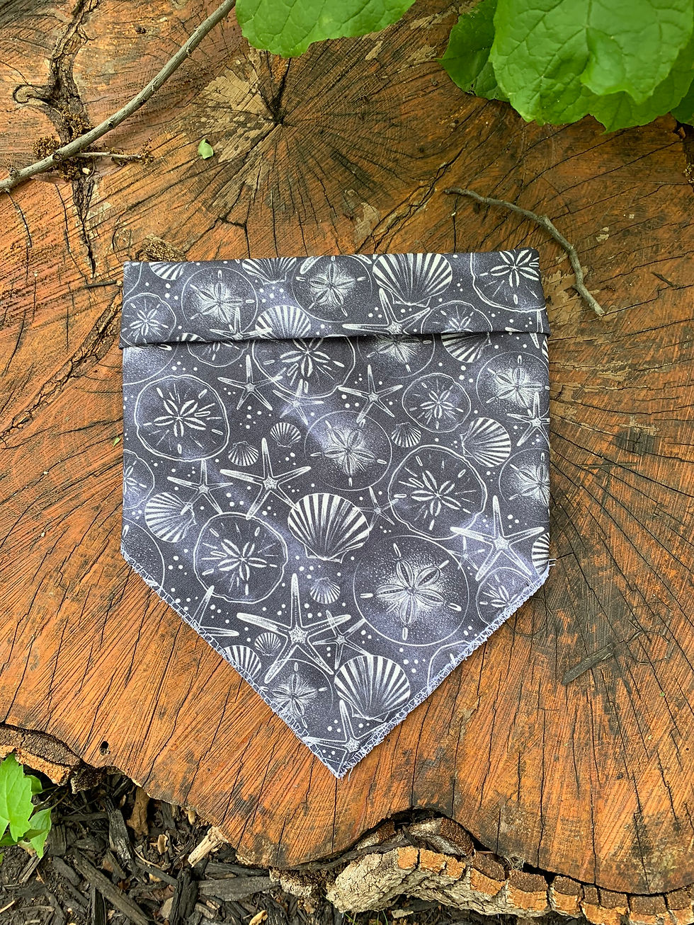 Seashore Dog Bandana