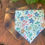 Thumbnail: Sea Turtles Dog Bandana
