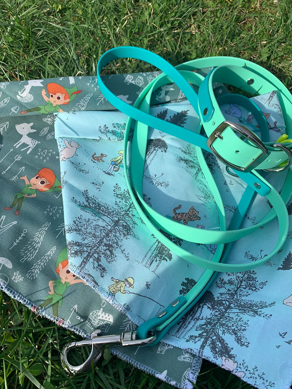 Thumbnail: Elven Adventure Dog Bandana