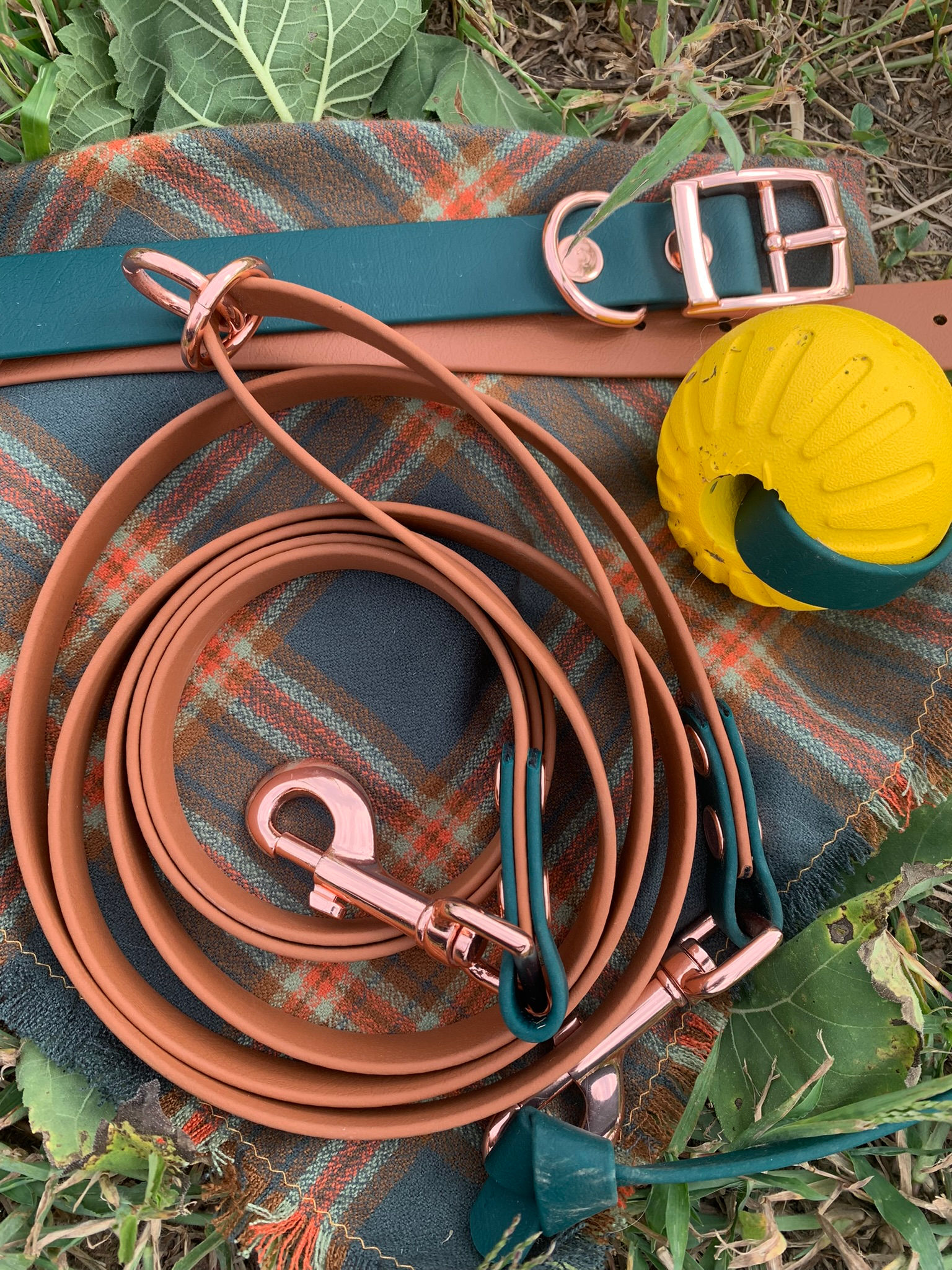 Jadedew Endless Leash