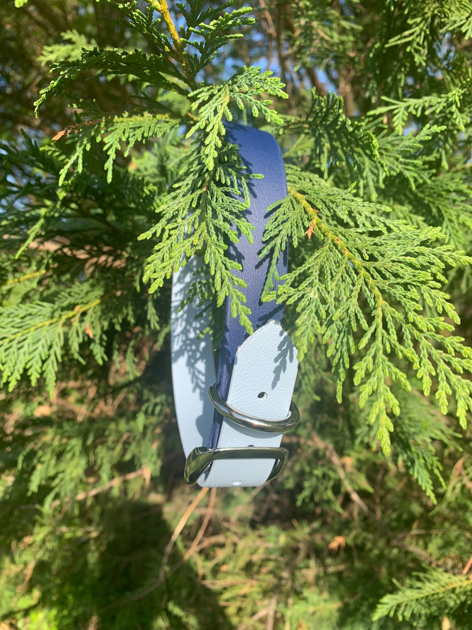 Small/Medium Watermelon Collar