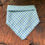 Thumbnail: Lusha Dog Bandana