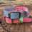 Thumbnail: Watermelon Collection