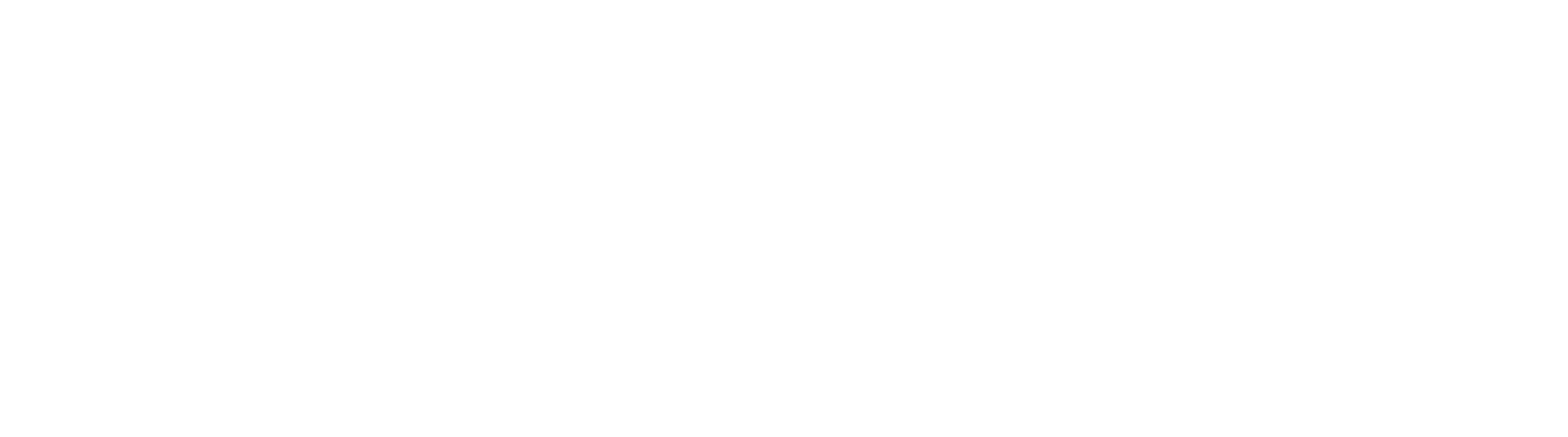 wasai_logo_blanco.png
