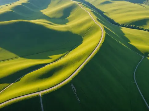 Understanding Personal Boundaries: Why They Matter for Safety