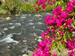 The Fairgrounds in Boquete