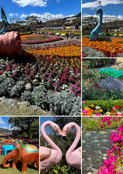 The Flower Festival of Boquete