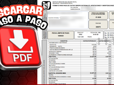 ⚠️¿Problemas para Descargar tu Línea de Captura del IMSS? | Guía Paso a Paso con SIPARE