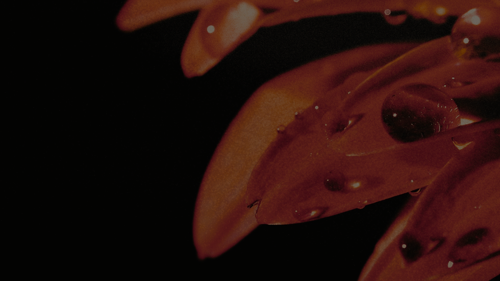 Logo 21e edition CINERGIE (Couverture Facebook) (1).png