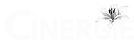 logo 20e edition CINERGIE (1).png