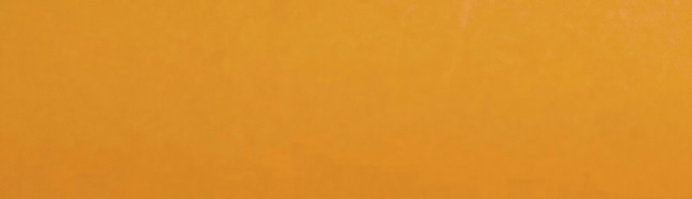 Orange Background_edited_edited.jpg