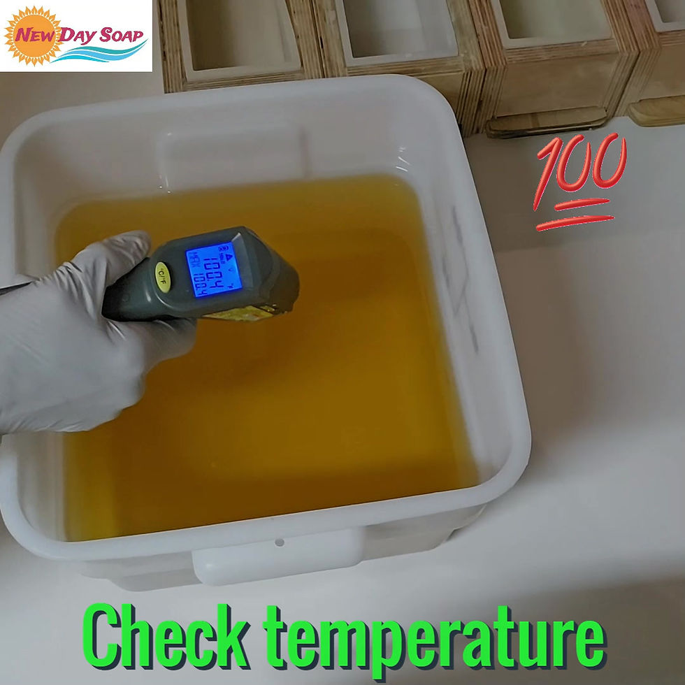 Making Rosemary and Lemongrass soap