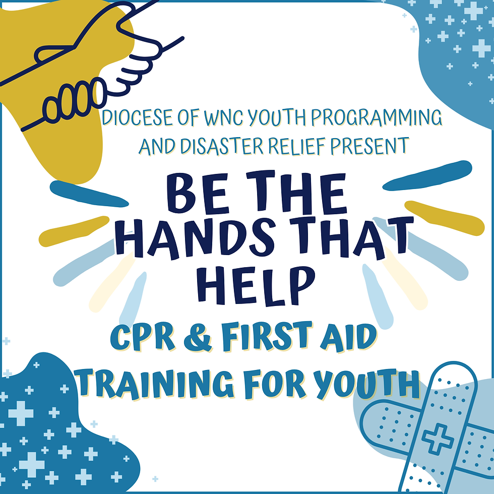 Be The Hands That Help: CPR & First Aid Training for Youth