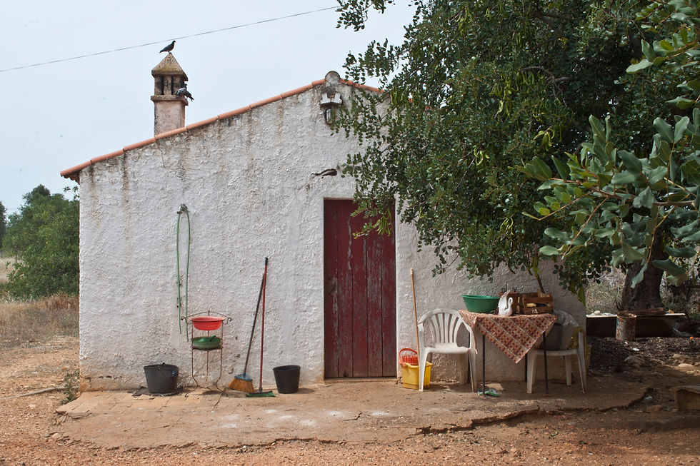 #casa da avô