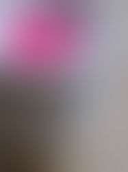   ✨ Comment utiliser un brûleur à fondant ?