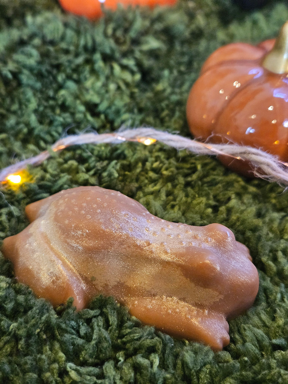 Miniature : Fondant parfumé - Choco Crapaud - Rocher Praliné