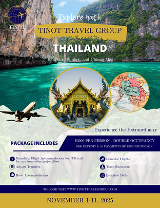 Travel Flyer.png