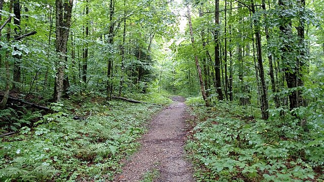 new hampshire trail