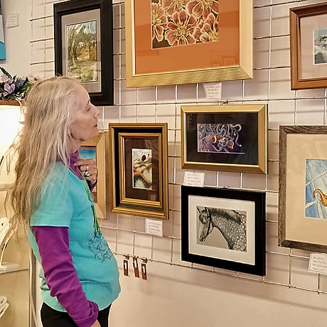 Art Gallery and shopping for gifts in Aztec